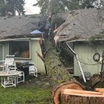 Emergency tree services
